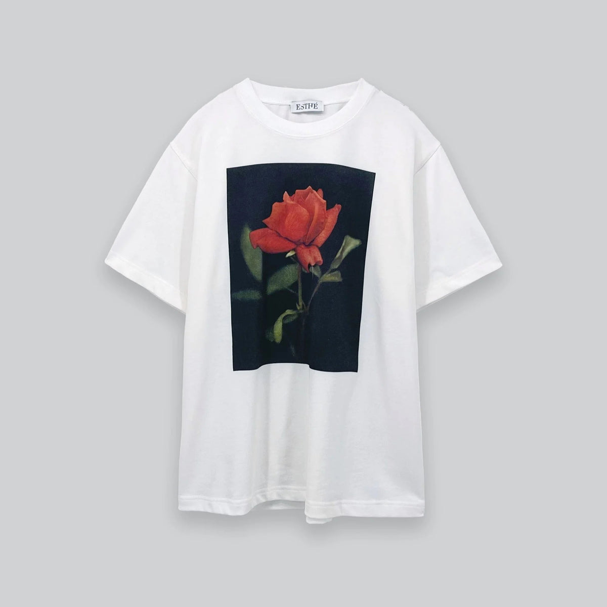 Rose Print Cotton T-Shirt in Off White