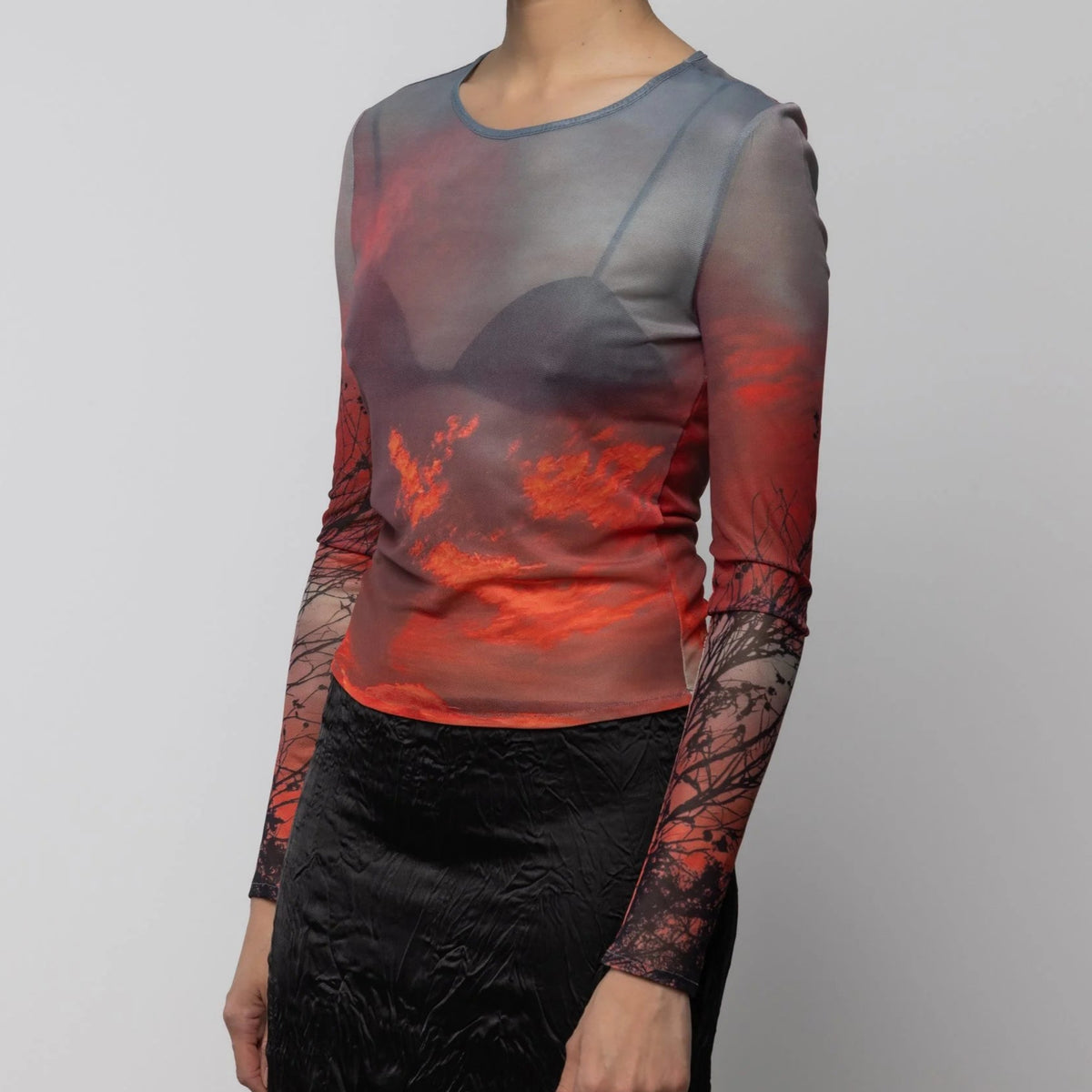 Mesh Long Sleeve Top in Crimsob Dusk Print