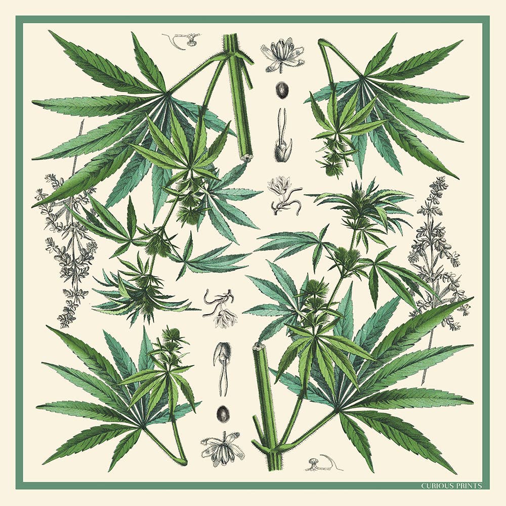 Botanical Cannabis Silk Scarf