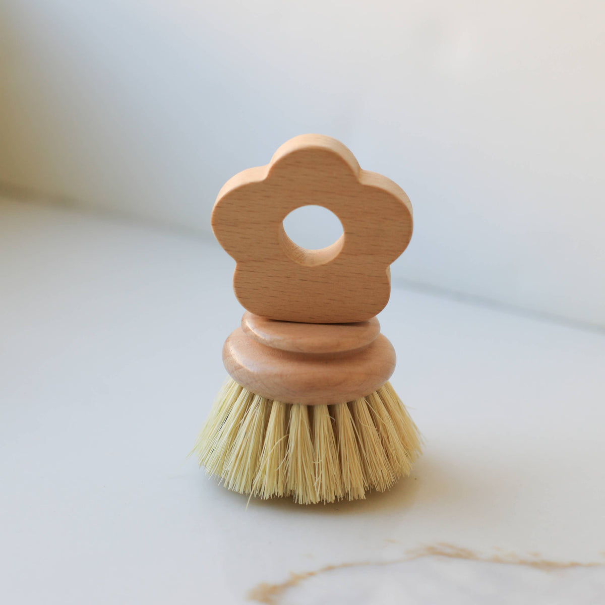 Cleaning Brush