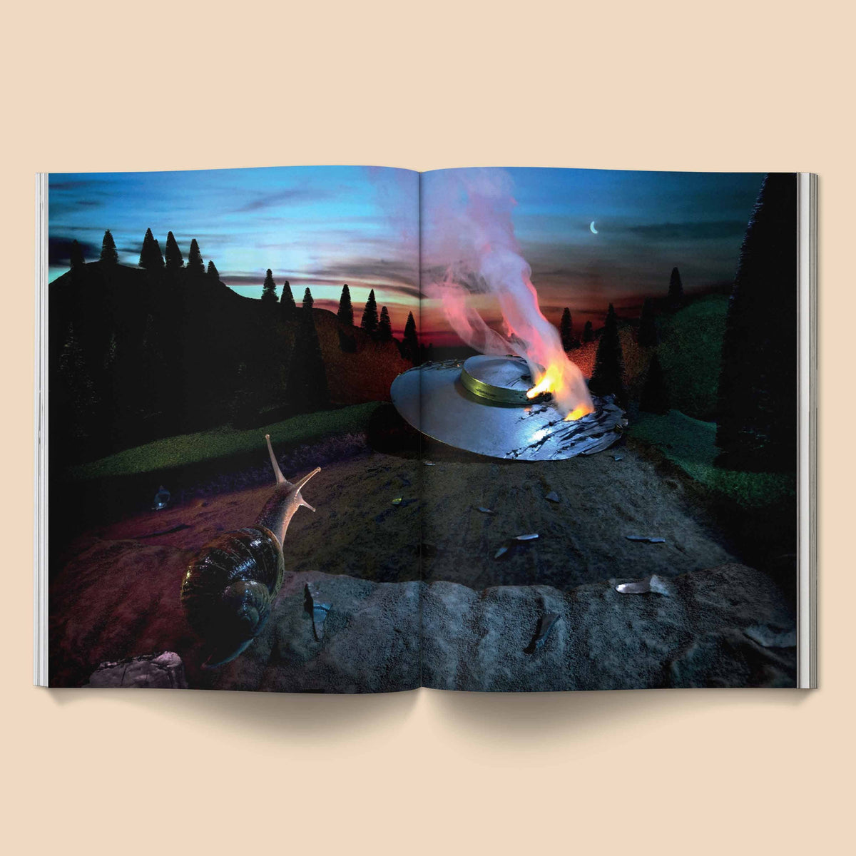 Snail World 2: Welcome to Slimetown Book