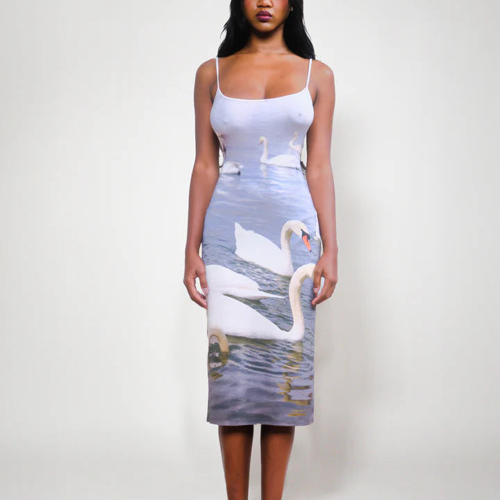 Swan Dress