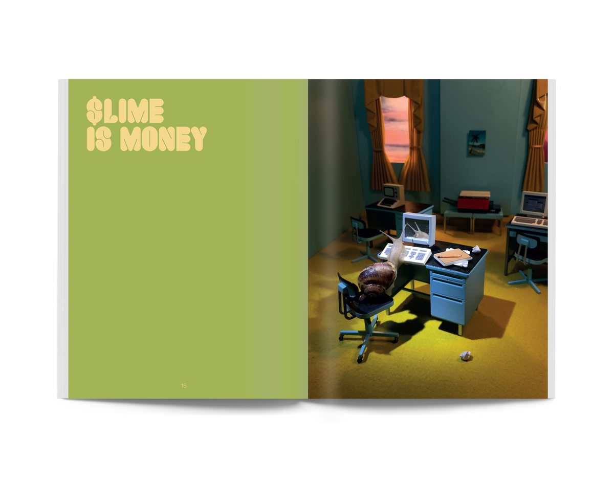 Snail World: Life in the Slimelight Book