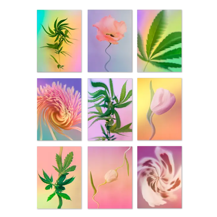 Psychedelic Fleurs Postcard Set