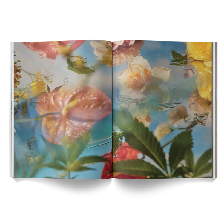 A Weed is a Flower Book