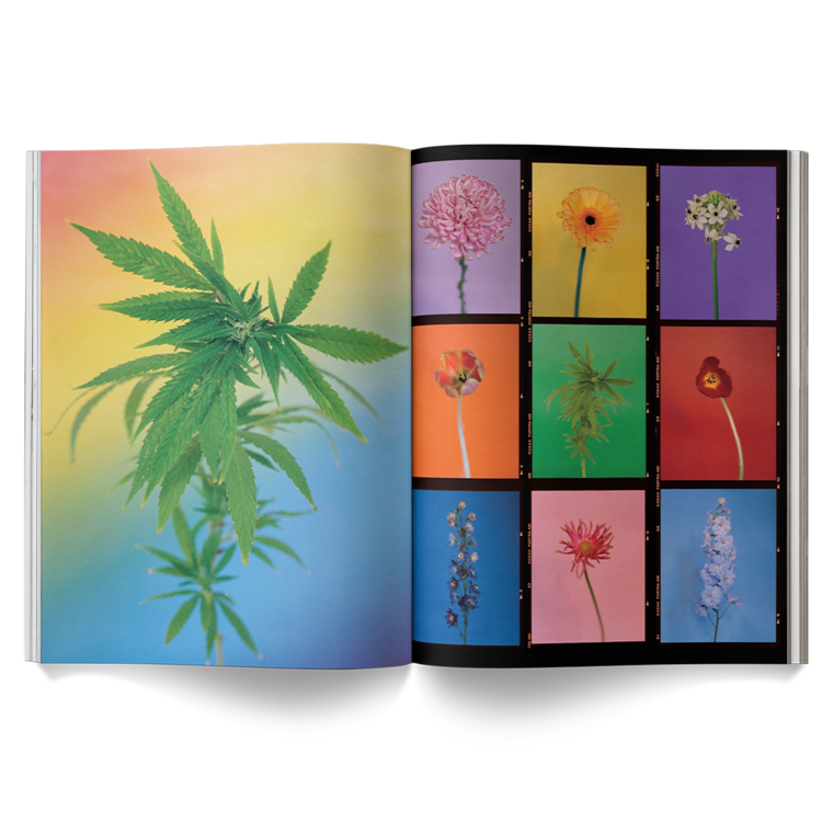 A Weed is a Flower Book