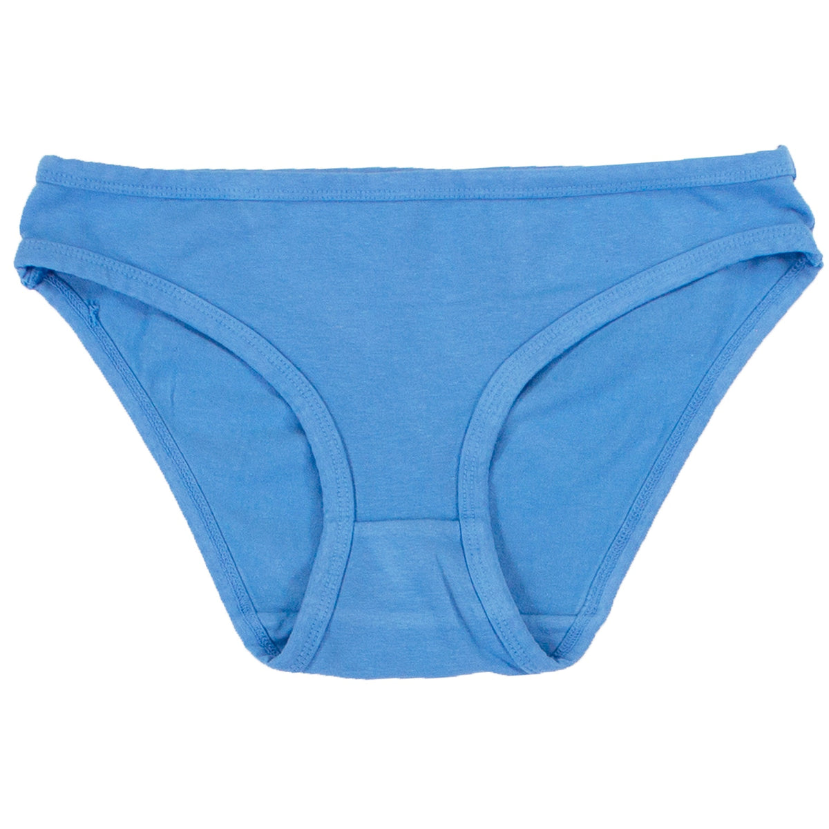 Bikini Brief in Surf Blue