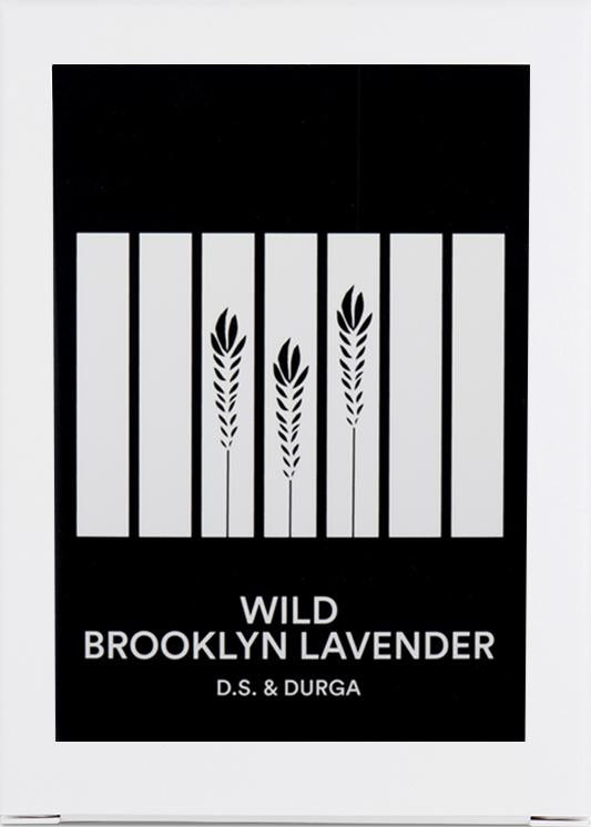 Wild Brooklyn Lavender Candle
