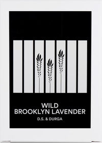 Wild Brooklyn Lavender Candle