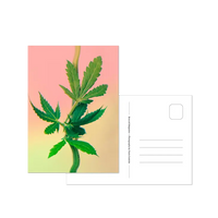 Psychedelic Fleurs Postcard Set