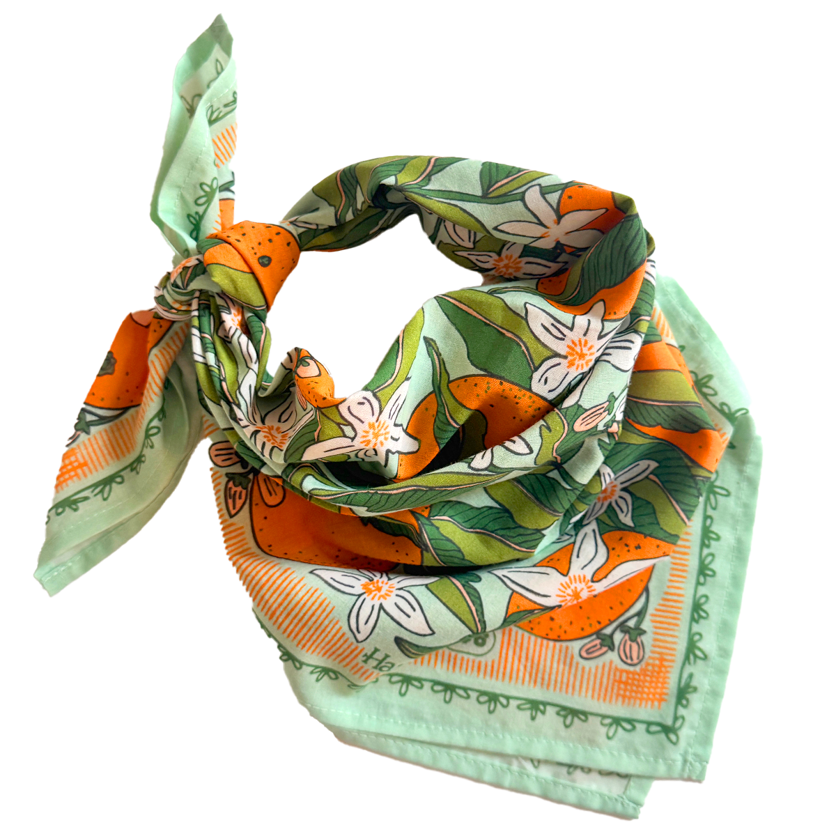 Zoe Bandana