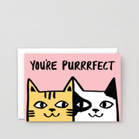 You're Purrrfect Card