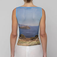 Mesh Boat Neck Top in Tree Print