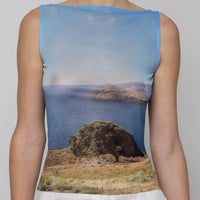 Mesh Boat Neck Top in Tree Print