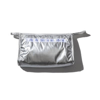 Silver Zip Pouch