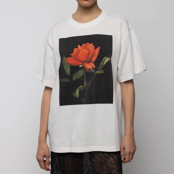 Rose Print Cotton T-Shirt in Off White