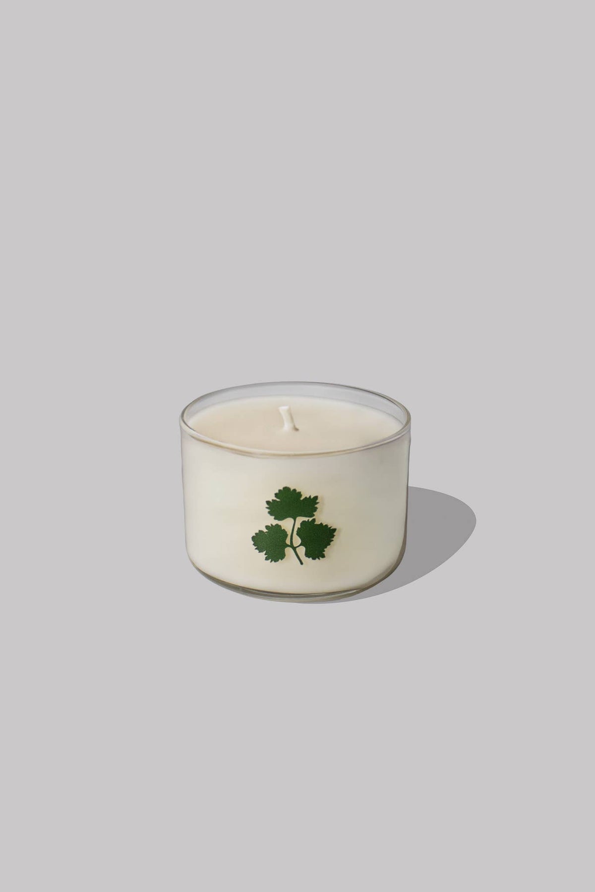 Cilantro Herb Candle