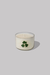 Cilantro Herb Candle
