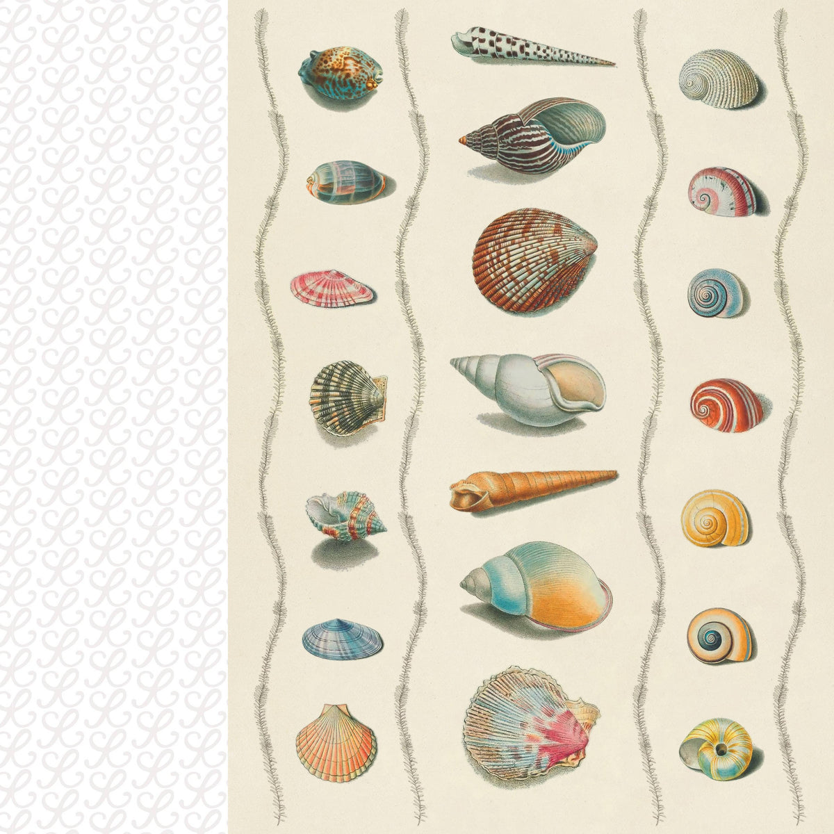Collage Compendium