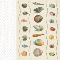 Collage Compendium
