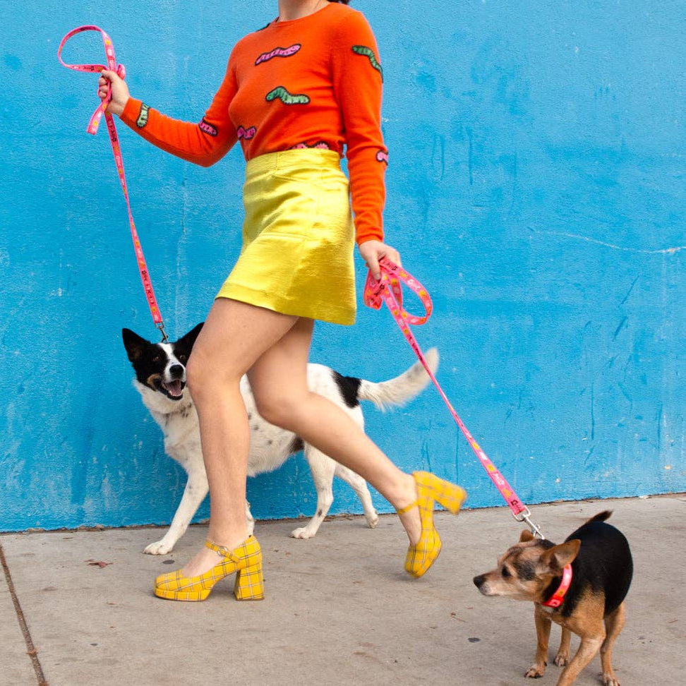 Trash Day Dog Leash