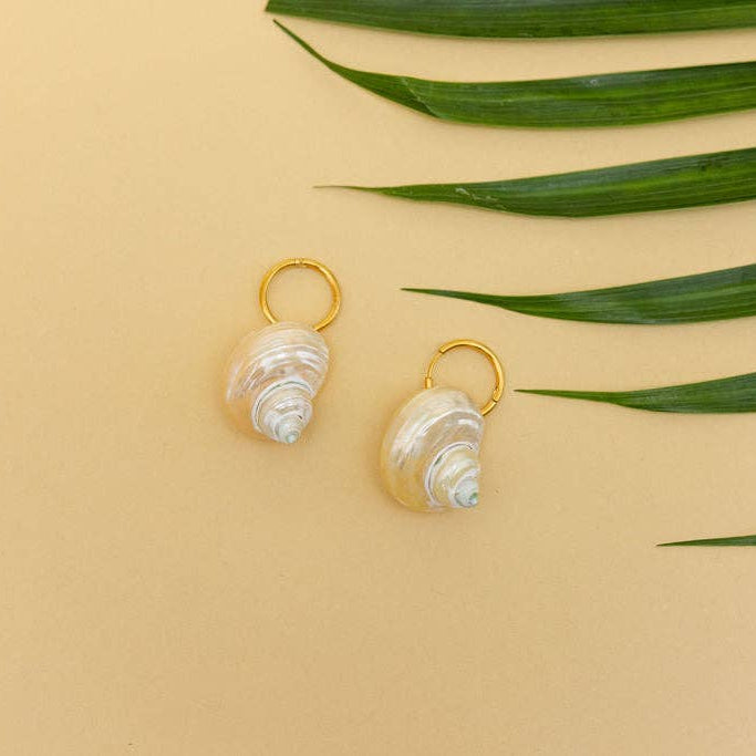 Shell Earrings in Pearl