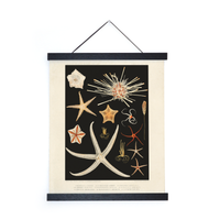 Vintage Starfish Print