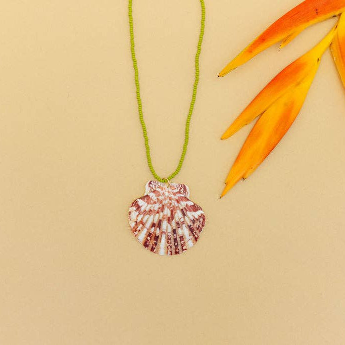 Rincon Necklace in Natural shell