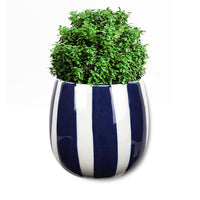 Striped Wall Bud Vase-4"H