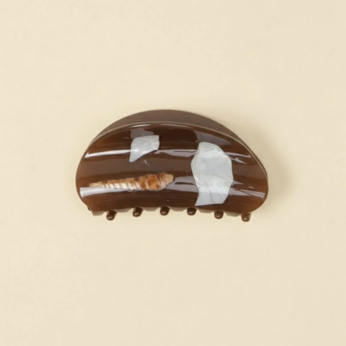 Conch Clip in Cocoa Shell