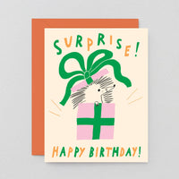 Surprise Happy Birthday Card