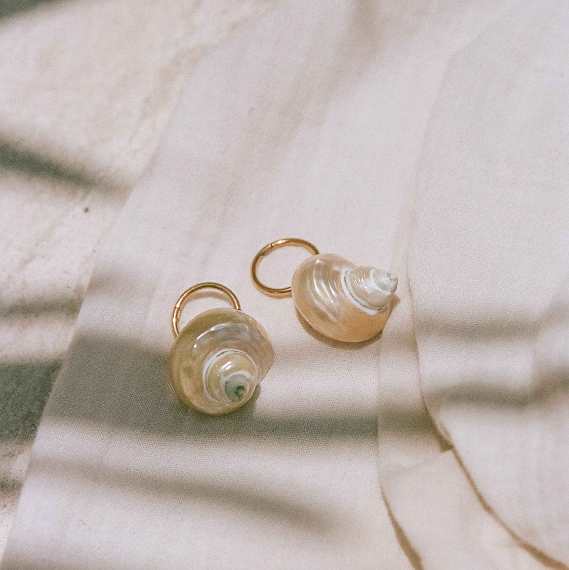 Shell Earrings in Pearl