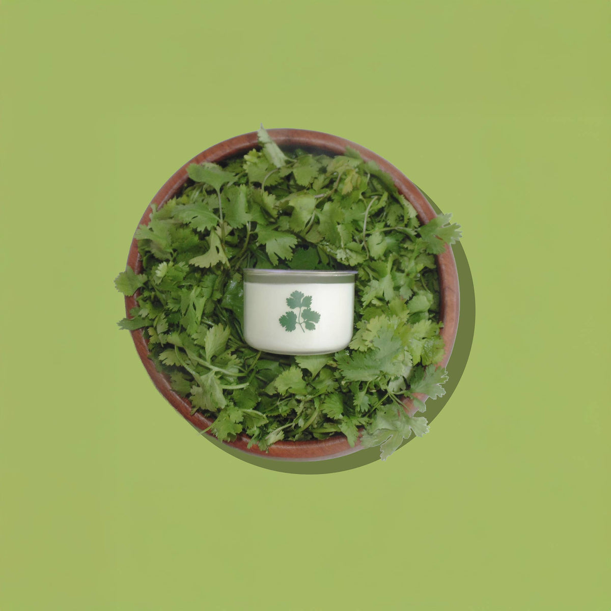Cilantro Herb Candle