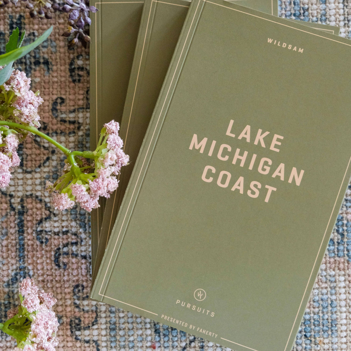 Lake Michigan Coast Field Guide Book