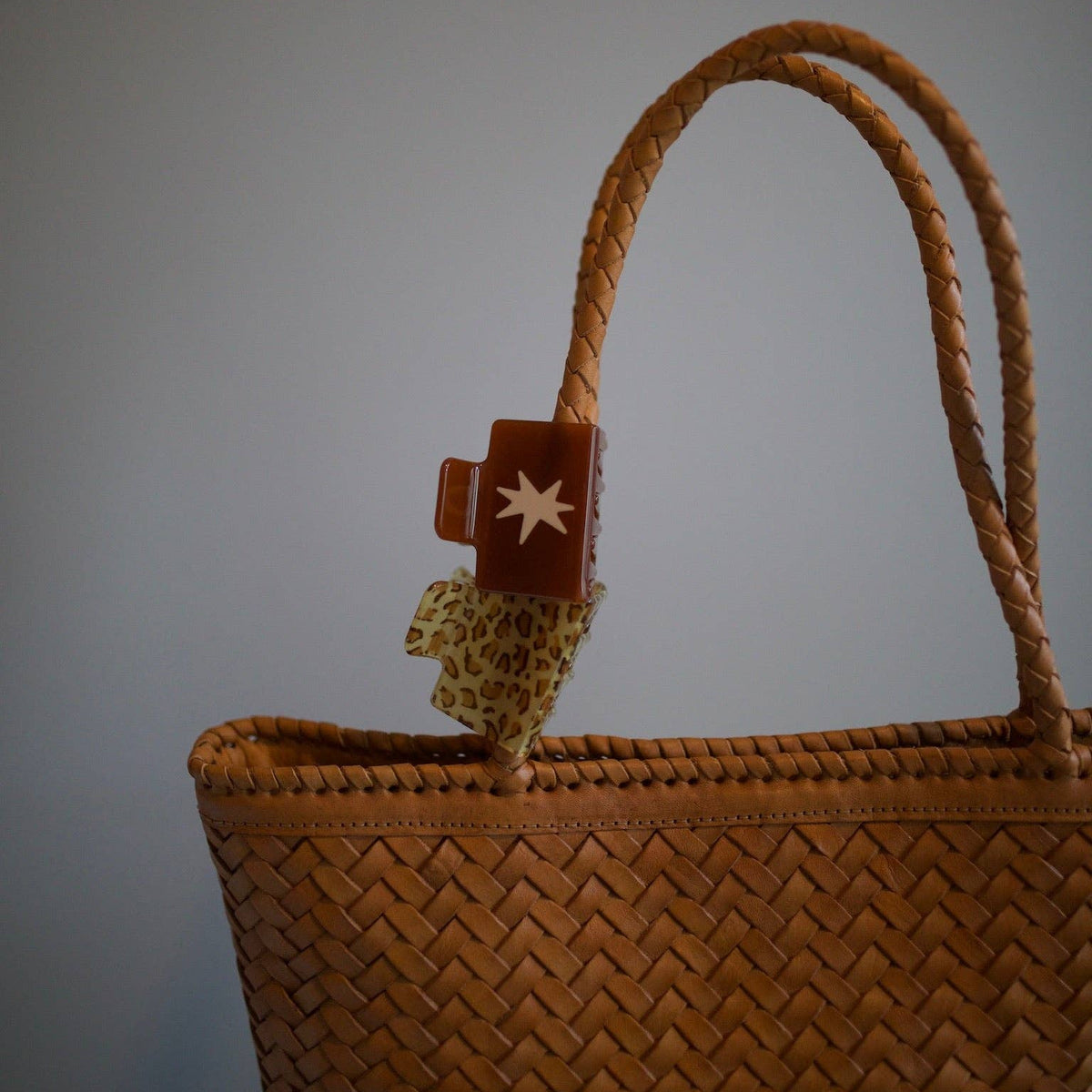 Coastal Bag in Tan Leather