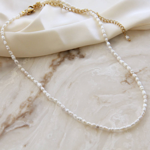 Natural Pearl Choker Necklace: Gold / 2.8mm-3mm Pearls