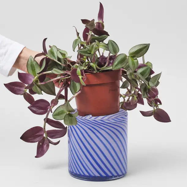 Medium Spiral Glass Planter in Blue