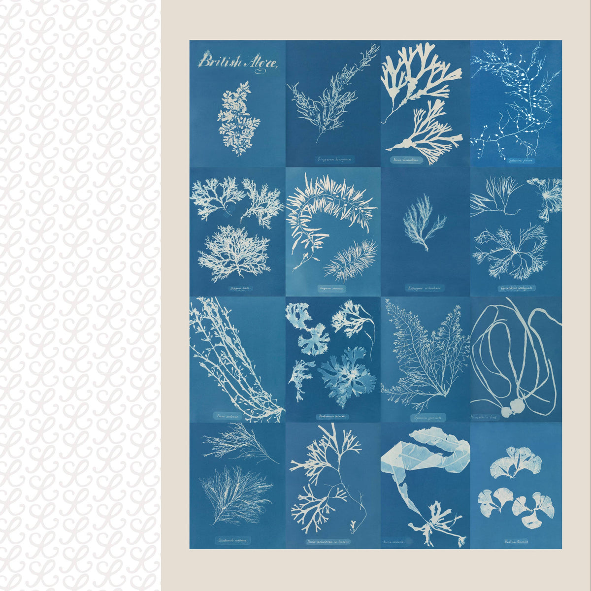 Collage Compendium