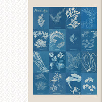 Collage Compendium