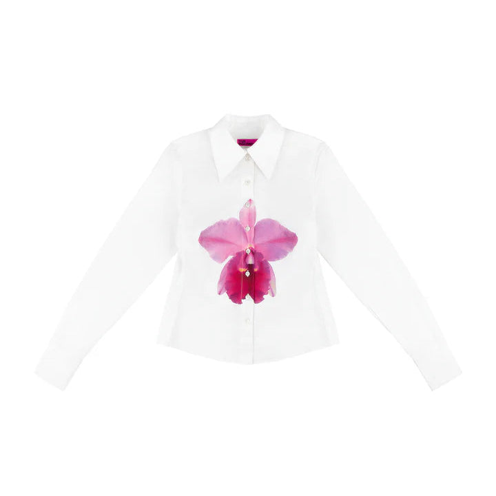 Frankie Button Down