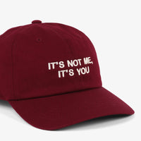 It's Not Me Dad Cap