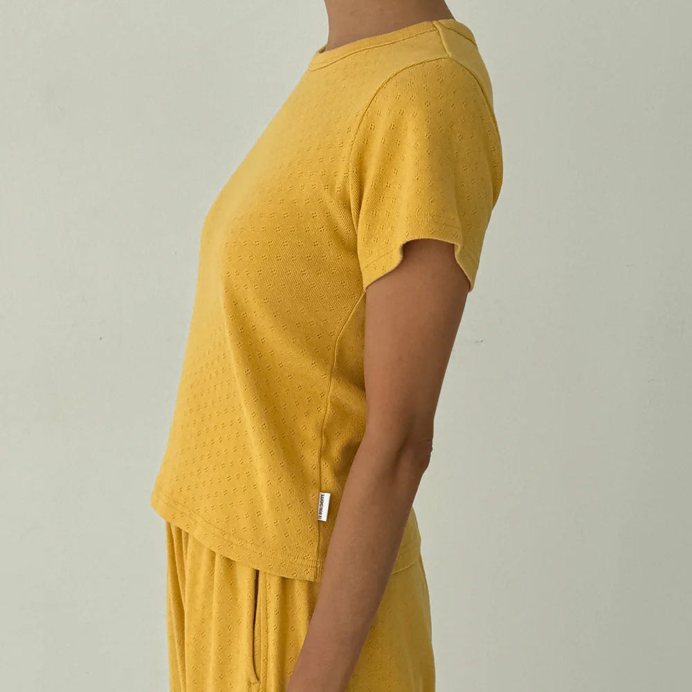 Pointelle Babe Tee in Deep Yellow
