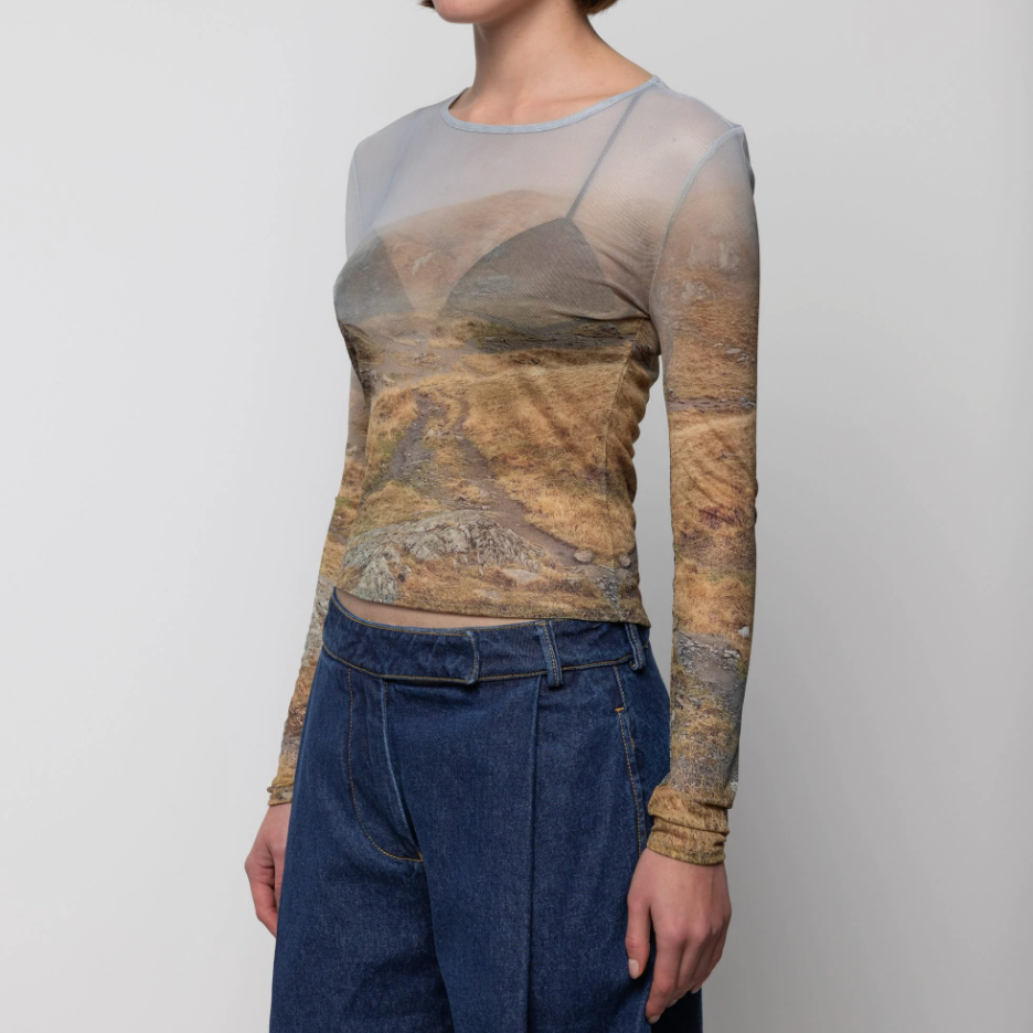 Mesh Long Sleeve Top in Negoiu