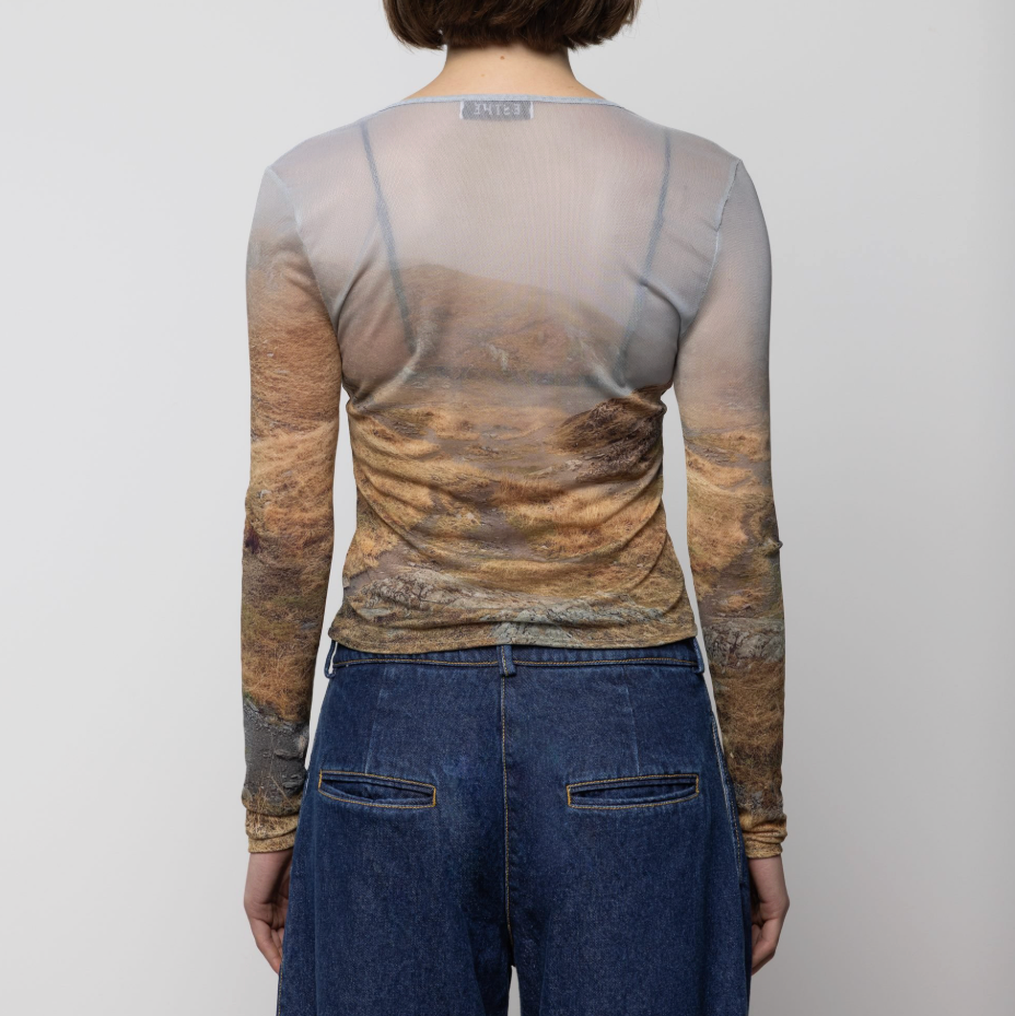 Mesh Long Sleeve Top in Negoiu