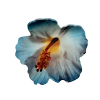 Hibiscus Hair Clip