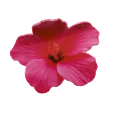 Hibiscus Hair Clip