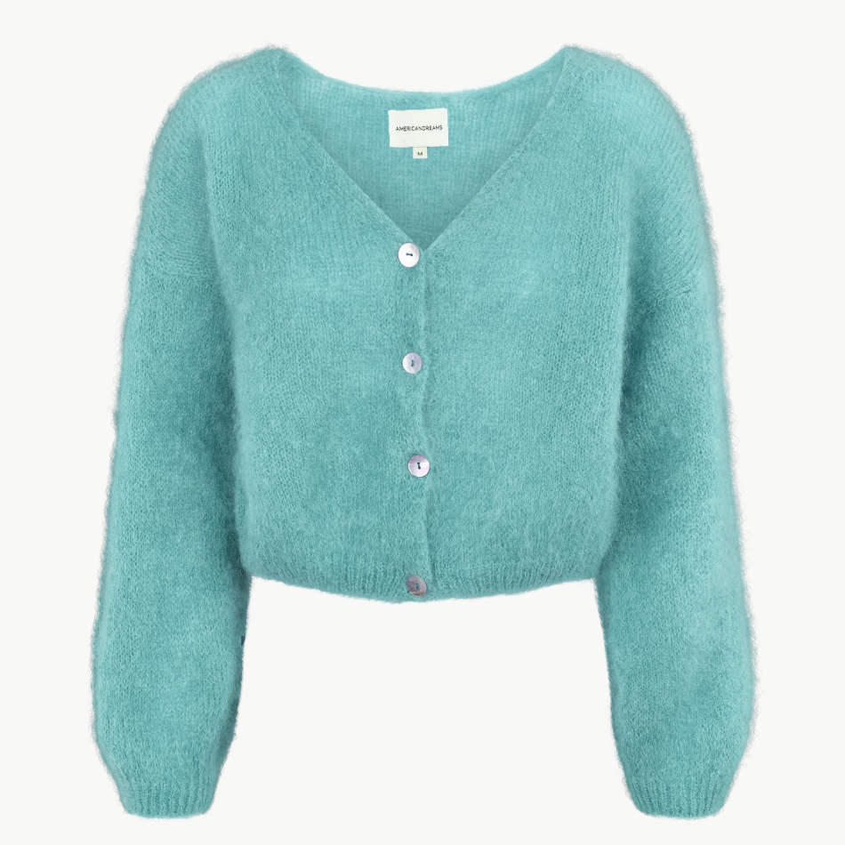 Cornelia Cropped Cardigan in Seafoam Green