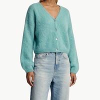 Cornelia Cropped Cardigan in Seafoam Green