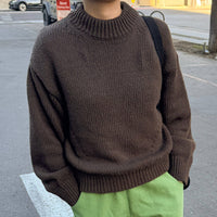 Zoe Cotton Sweater in Brown