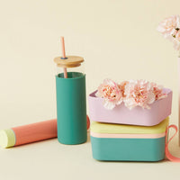 Tumbler With Straw - Peachy/Hunter